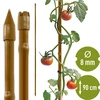 Estaca de acero recubierta 0,9m x 8mm (bambú) ['estaca de jardín', ' estaca para plantas', ' soporte para plantas', ' soporte de jardín', ' soportes de jardín de metal', ' soporte para plantas trepadoras', ' soportes para flores trepadoras', ' soportes de metal para flores', ' estacas de metal recubiertas', ' estaca para plantas recubierta', ' estaca de acero con forma de bambú', ' accesorios de jardinería', ' cómo cuidar las plantas', ' estacas recomendadas para plantas', ' estaca verde', ' estacas de acero tipo bambú', ' estacas de bambú', ' estacas en forma de bambú']
