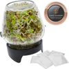 Germinador de frascos Twist-off + 5 semillas - 3 