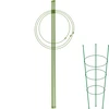 Soporte anular para plantas 3 anillos 0,75 - 13 