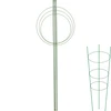 Soporte de anillo para plantas 3 anillos 1,25 - 11 