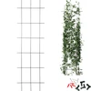 Soporte para plantas - enrejado de jardín 150 x 45cm ['soporte para plantas', ' soporte para arbustos enrejado', ' soporte de jardín', ' pérgola de jardín', ' enrejado para plantas', ' soporte para plantas', ' soporte floral', ' soporte para plantas de jardín', ' soporte para hiedra', ' soporte de acero', ' soporte con montaje en pared', ' soporte para plantas trepadoras', ' soporte para arbustos de rosas', ' soporte negro', ' qué soporte para plantas elegir', ' jardín cuidado', ' enrejado para plantas trepadoras', ' soporte para rosas', ' soporte para hiedra', ' para arbustos de rosas', ' soportes metálicos para flores', ' accesorios de jardinería', ' cómo cuidar las plantas', ' soportes recomendados para plantas', ' soporte en forma de enrejado', ' soporte atornillado a la pared']