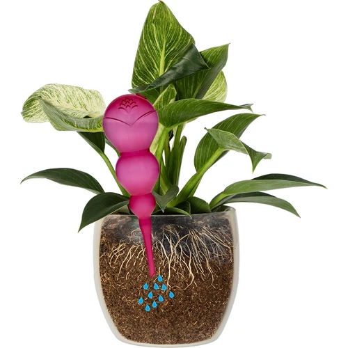 Bola de riego triple (tres cámaras), transparente rosa, 600 ml - 3