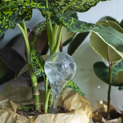 Bolas de riego TRANSPARENTES 2uds. - 11