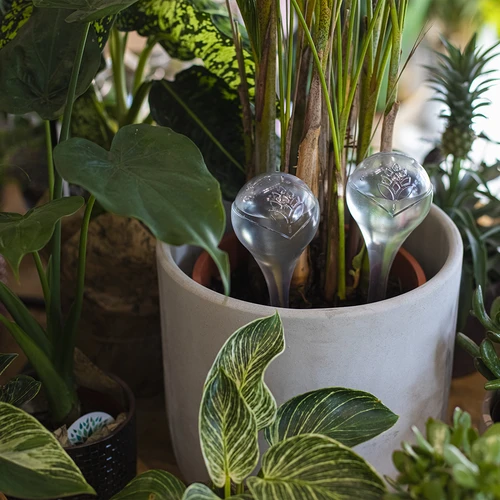 Bolas de riego TRANSPARENTES 4uds. - 8