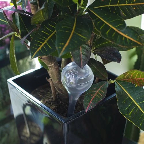 Bolas de riego TRANSPARENTES 4uds. - 9