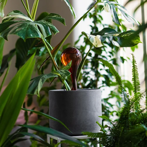 Bolas de riego TRANSPARENTES ÁMBAR 2uds. - 10