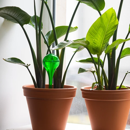 Bolas de riego TRANSPARENTES VERDES 2 uds. - 9