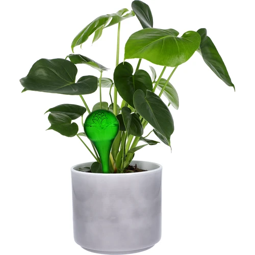 Bolas de riego TRANSPARENTES VERDES 4 uds. - 6