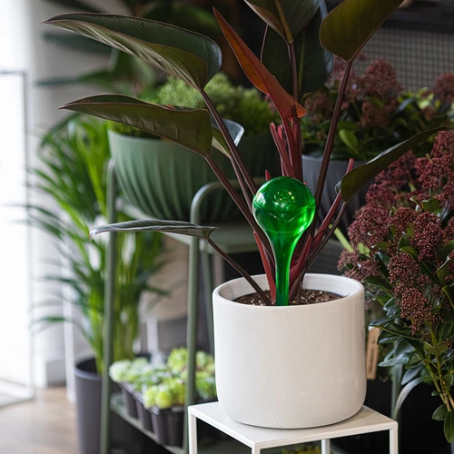 Bolas de riego TRANSPARENTES VERDES 4 uds. - 9