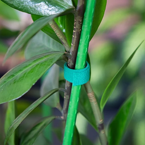 Cinta de jardín con velcro, verde, 15 mm x 5 m - 4