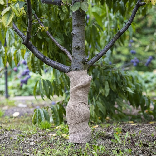 Cinta de yute 10cm/5m - 5