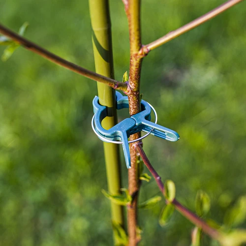 Clips para sujetar plantas 20 piezas (8x grandes/12x pequeñas) - 7