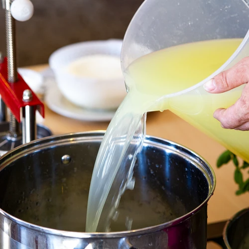Cuajo natural para queso en líquido 50 ml - 5
