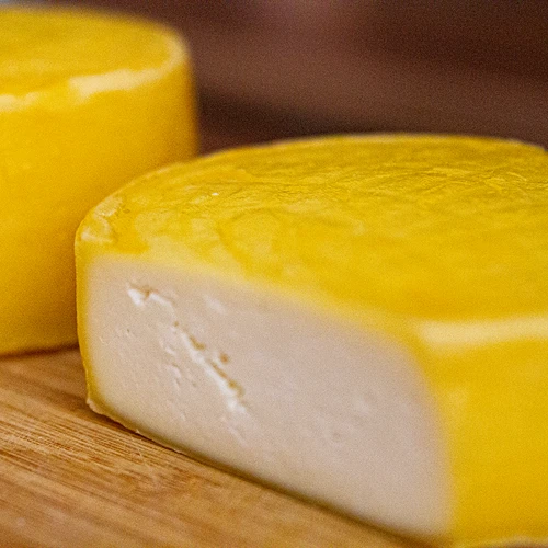 Cultivos bacterianos para queso gouda - 5