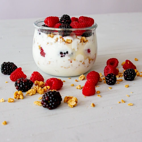 Cultivos bacterianos para yogur - 4