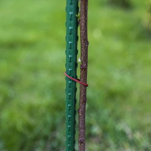Estaca de acero recubierta de PE 1,5mx11mm (10 uds) - 5