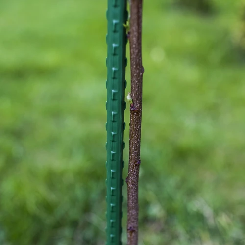 Estaca de acero recubierta de PE 1,75m x 11mm - 3