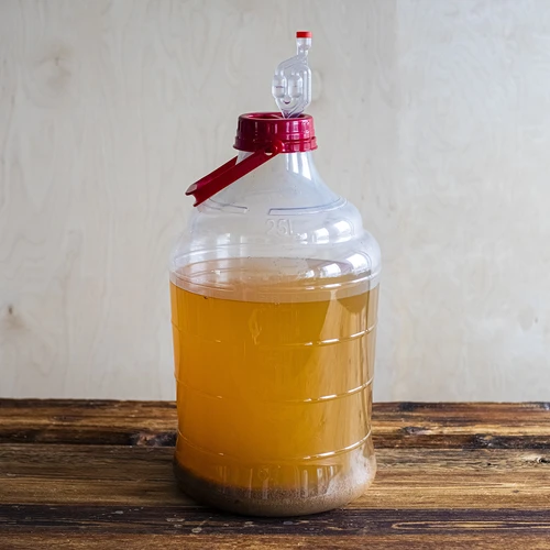 Garrafa para vino ligera, irrompible, con asa, 25L - 13