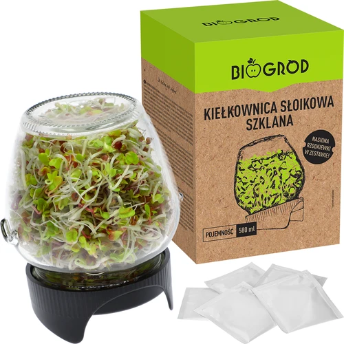 Germinador de frascos Twist-off + 5 semillas - 5