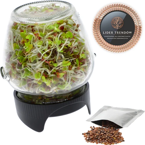 Germinador de tarro Twist-off + semillas