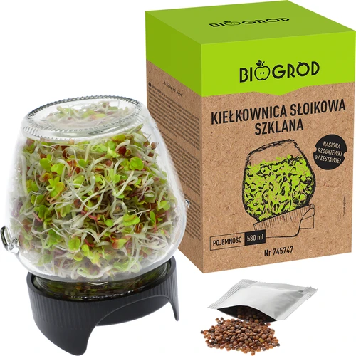 Germinador de tarro Twist-off + semillas - 5