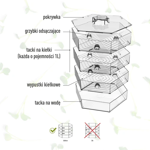 Germinador de varios niveles Niezłe Ziółko + semillas - 11