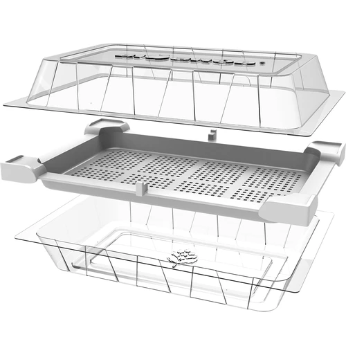 Germinador Zielona Czuprynka + semillas - 4