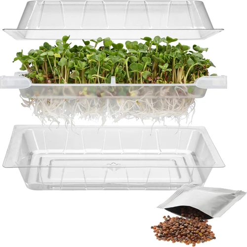 Germinador Zielona Czuprynka + semillas