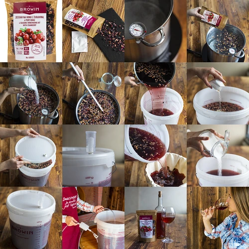 Kit para vino 4 ESTACIONES - arándano - 5