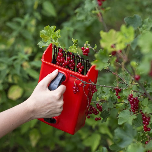 Máquina para recoger frutas pequeñas - 8