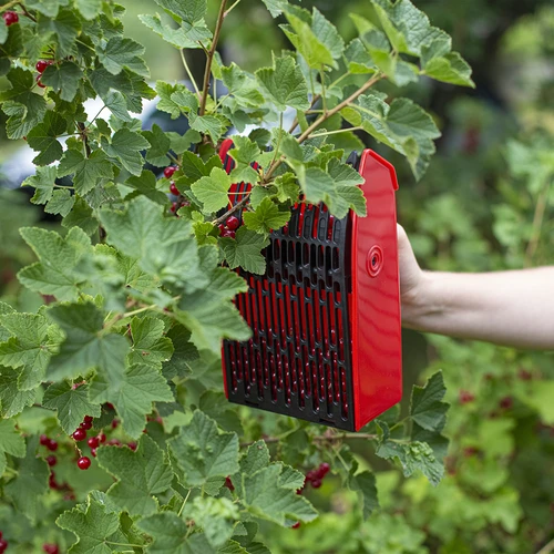 Máquina para recoger frutas pequeñas - 7