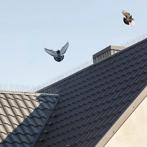 Púas contra aves (tira de metal) 10 piezas DIY - 11