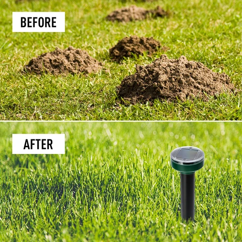 Ahuyentador solar para topos – protección del jardín eficaz, segura y respetuosa con los animales, pack de 4 unidades - 13