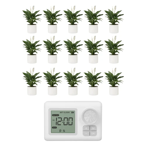 Sistema automático de riego para plantas en maceta - 6