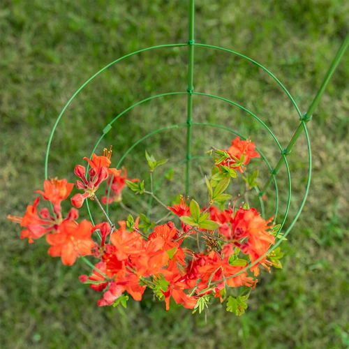 Soporte anular para plantas 3 anillos 0,5m - 3