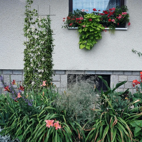 Soporte para plantas - enrejado (150cm x 45cm) 3 piezas - 4