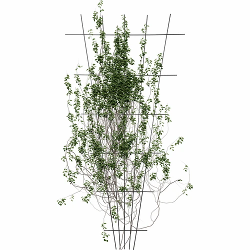 Soporte para plantas - enrejado (150cm x 75cm) 2 piezas - 3