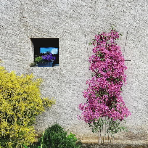 Soporte para plantas - enrejado (150cm x 75cm) 2 piezas - 4