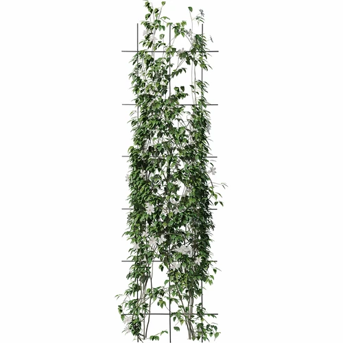 Soporte para plantas - enrejado de jardín 150 x 45cm - 3