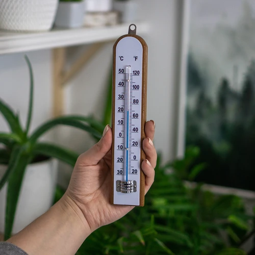 Termómetro de habitación con escala blanca (-30/50C) 20cm - 3