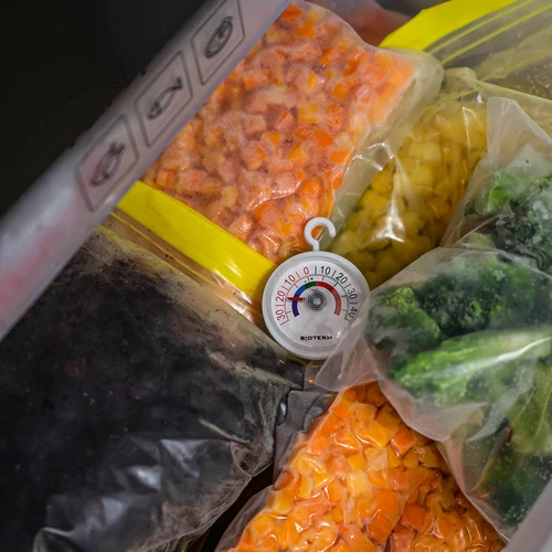 Termómetro para refrigeradores y congeladores (-35/45C) Ø 5cm - 5