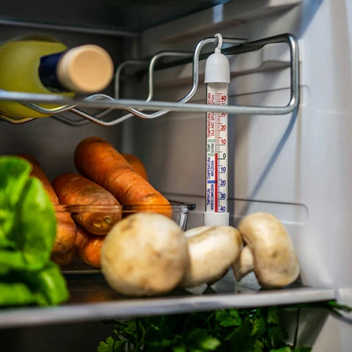 Termómetro para refrigeradores y congeladores (-50/40C) 17cm - 5