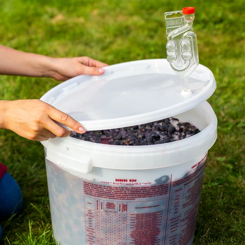 Tubo de fermentación de 6 cámaras con tapón protector - 6