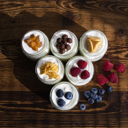 Yogurtera y quesera con termostato 1,5 L - 17