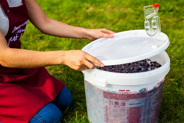 ¿Cómo hacer vino paso a paso?