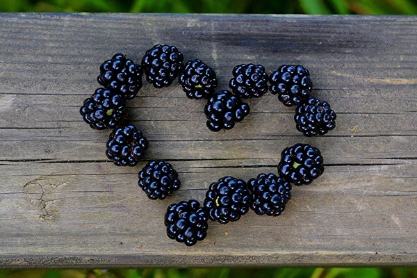 Licor casero de moras