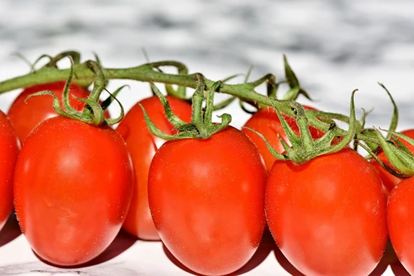 Puré de tomate