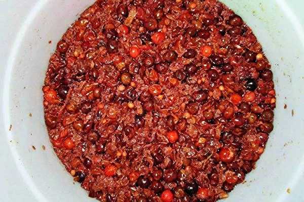 Vino casero de cerezas y grosellas espinosas