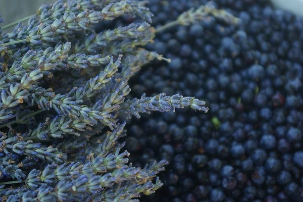 Vino casero de lavanda y arándanos