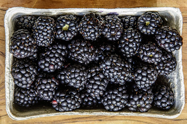 Vino casero de moras semidulce